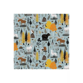 Canadian Boreal Forest - Slate